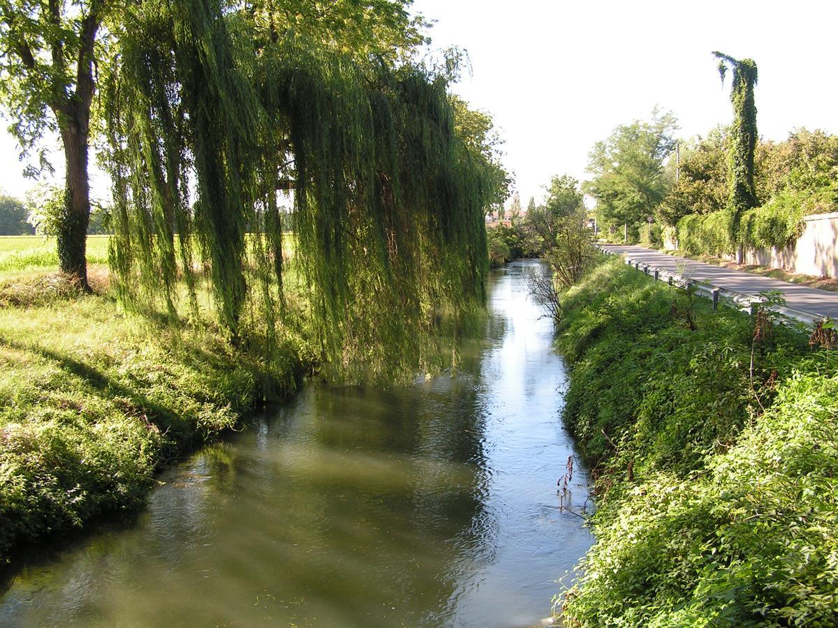 Agriturismo Le Risaie バジーリオ エクステリア 写真