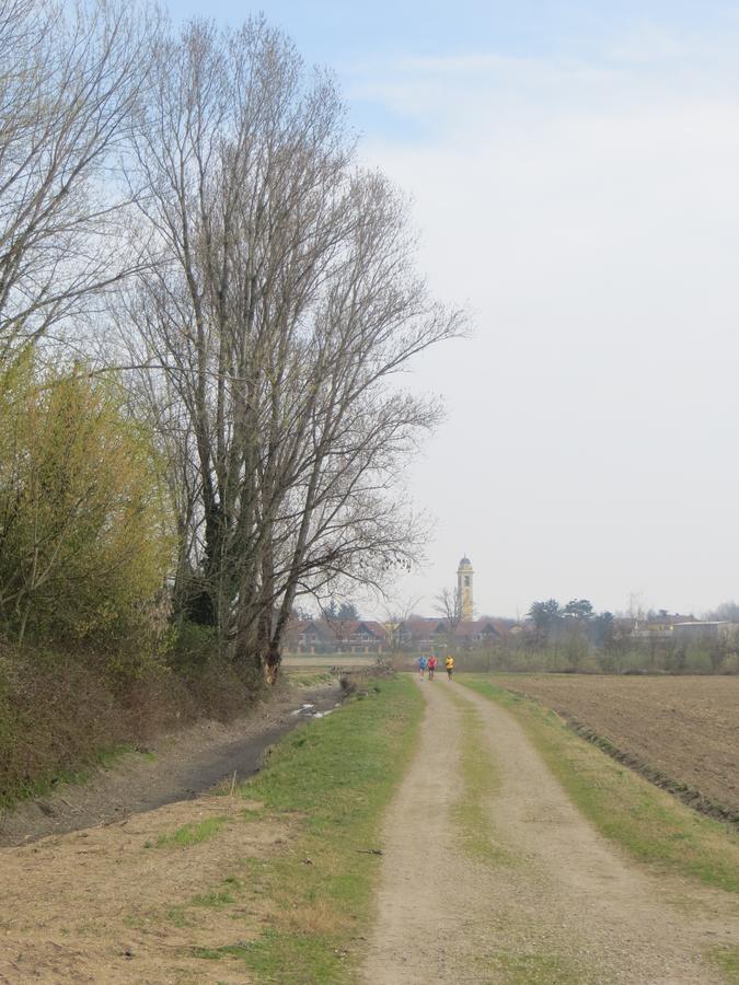 Agriturismo Le Risaie バジーリオ エクステリア 写真