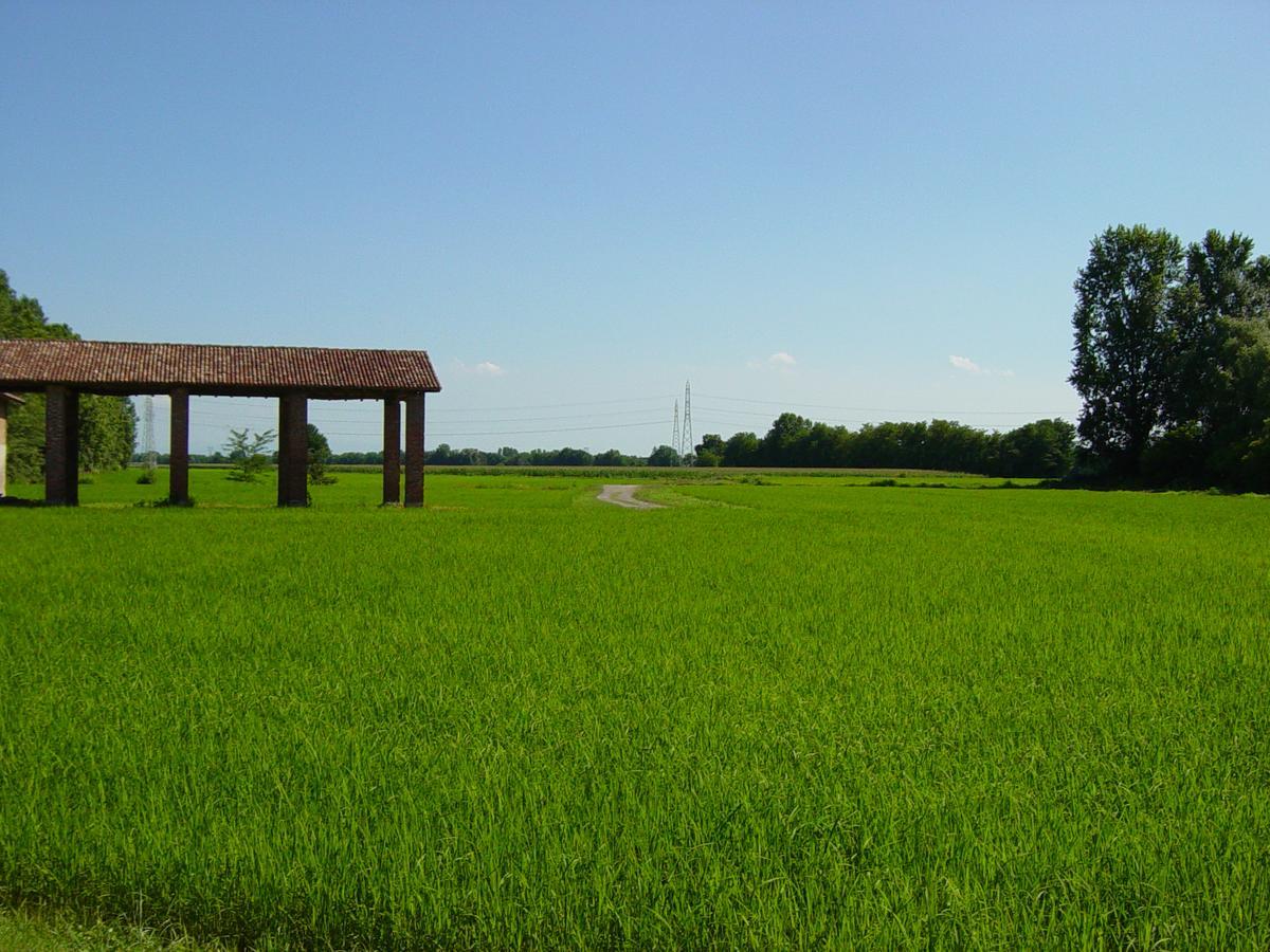 Agriturismo Le Risaie バジーリオ エクステリア 写真